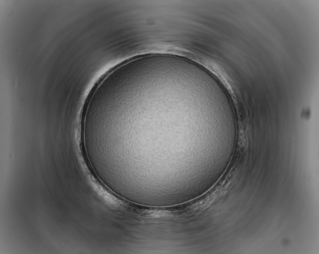 X0000101161136200807111022