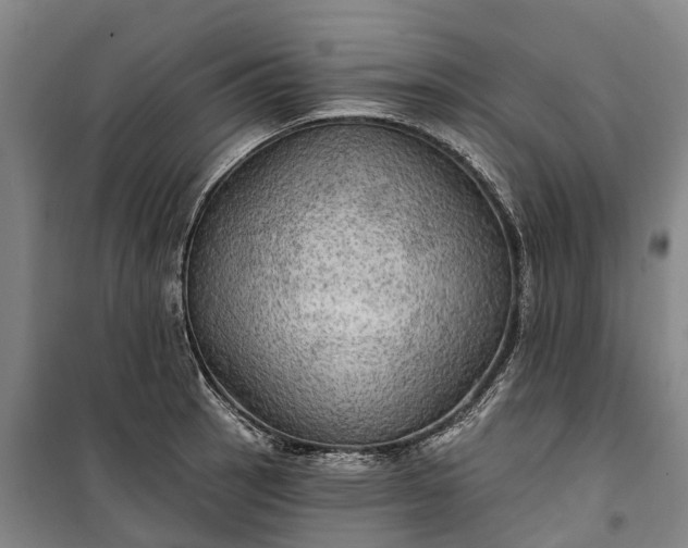 X0000101161137200807111022