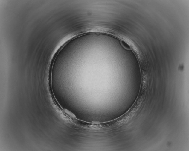 X0000101161138200807111022