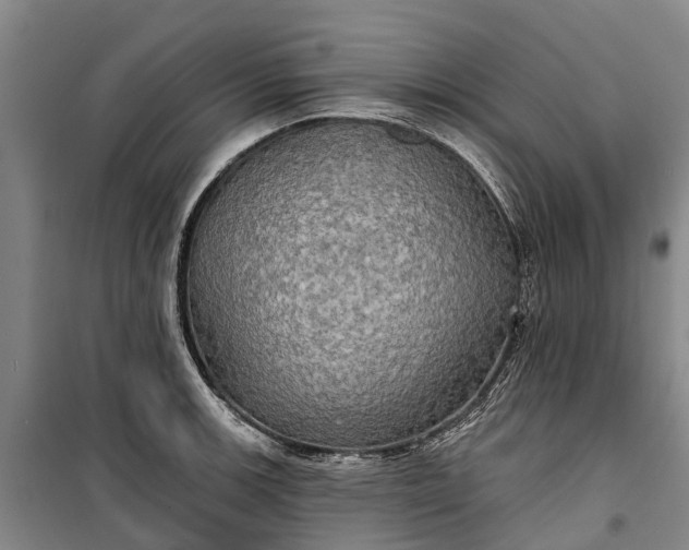 X0000101161139200807111022