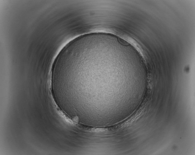 X0000101161140200807111022