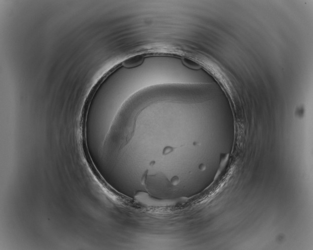 X0000101161141200807111022