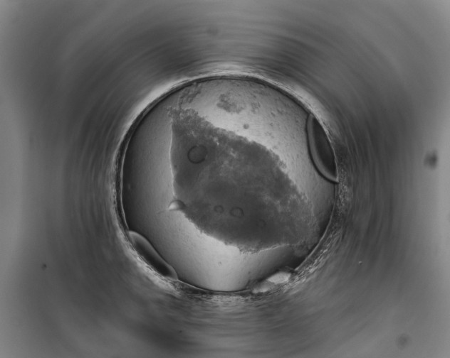 X0000101161142200807111022