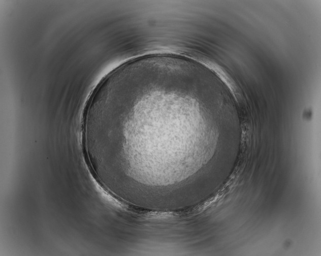 X0000101161143200807111022