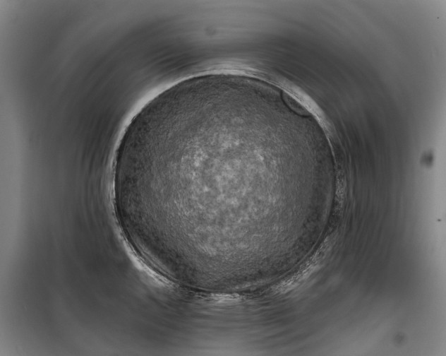 X0000101161144200807111022