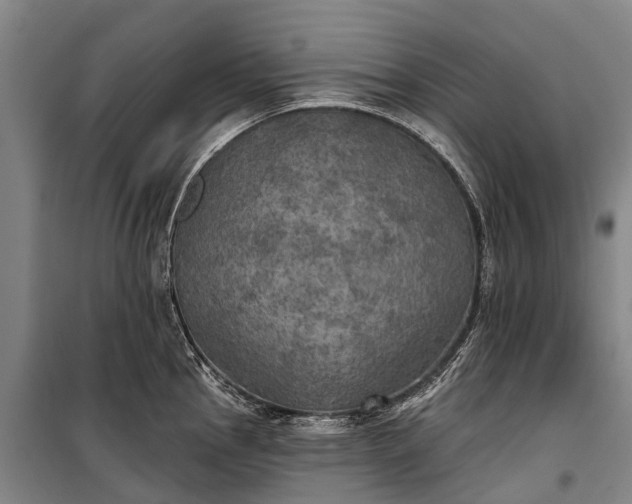 X0000101161145200807111022