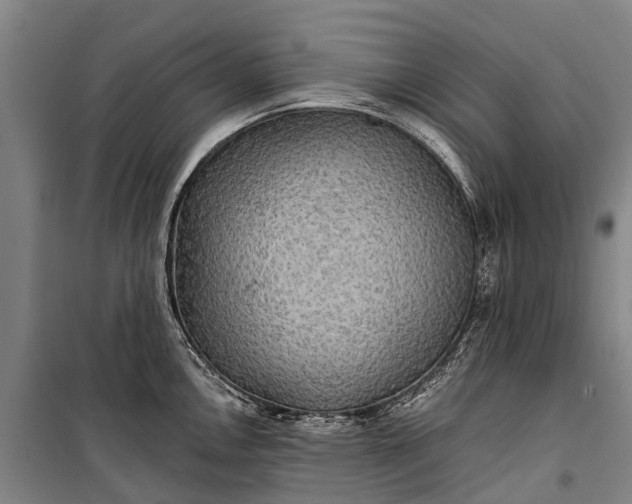 X0000101161146200807111022