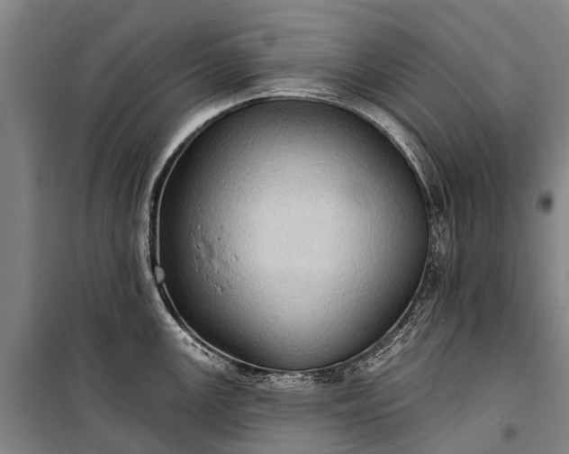 X0000101161147200807111022