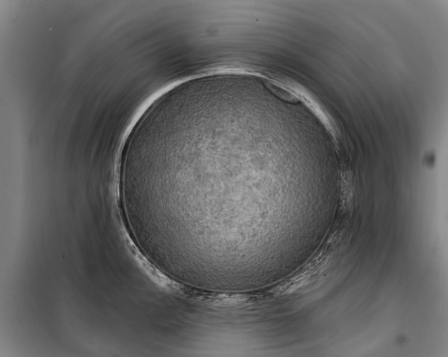 X0000101161148200807111022