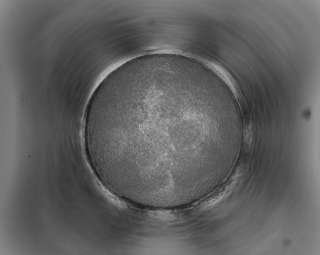 X0000101161149200807111022