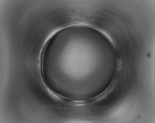 X0000101161151200807111022