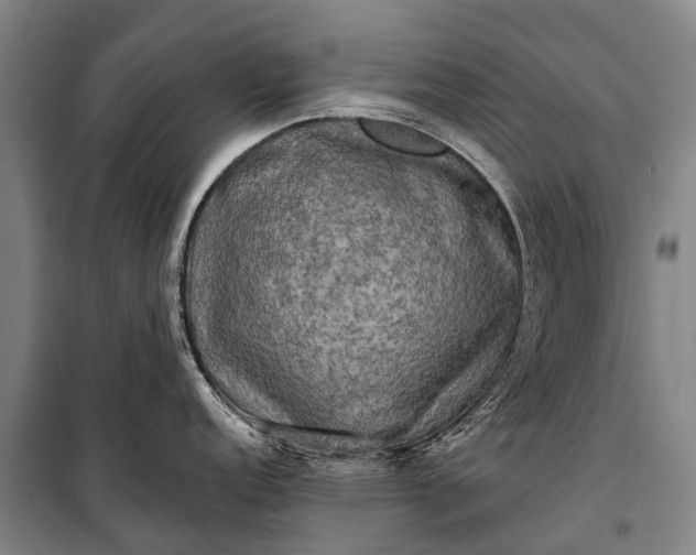 X0000101161152200807111022