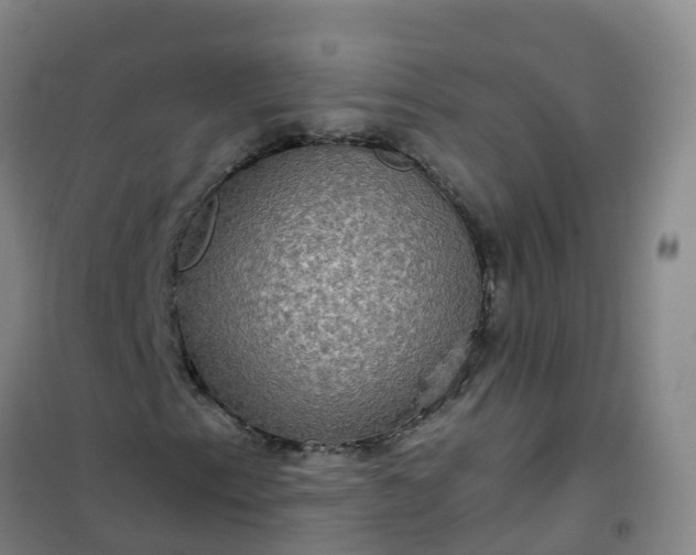 X0000101161153200807111022