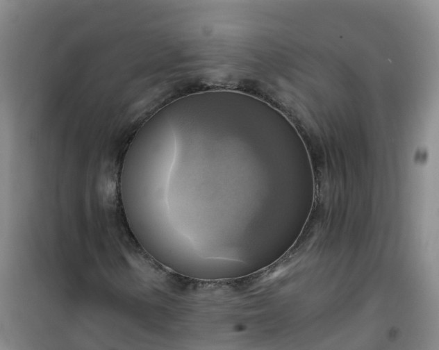 X0000101161154200807111022