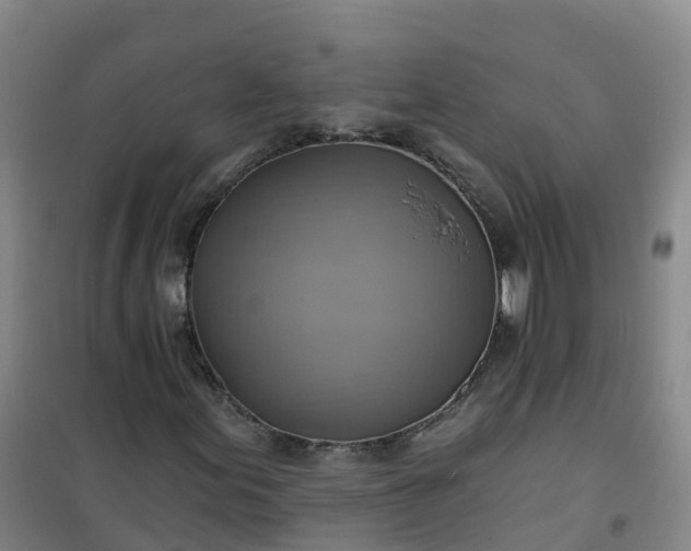 X0000101161155200807111022