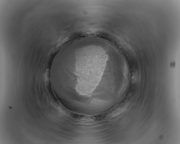 X0000101161156200807111022