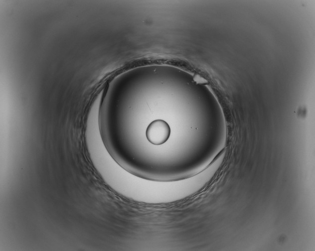 X0000101161157200807111022