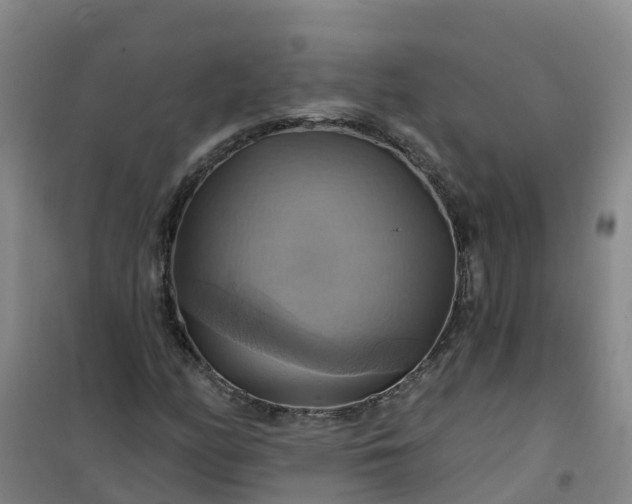 X0000101161158200807111022