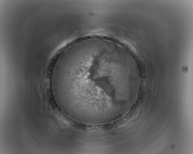 X0000101161159200807111022