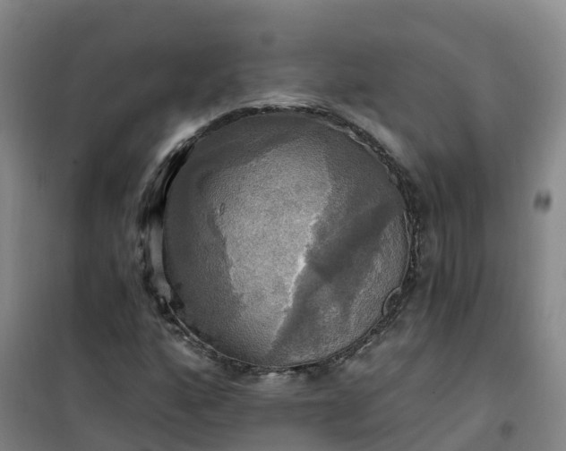 X0000101161160200807111022