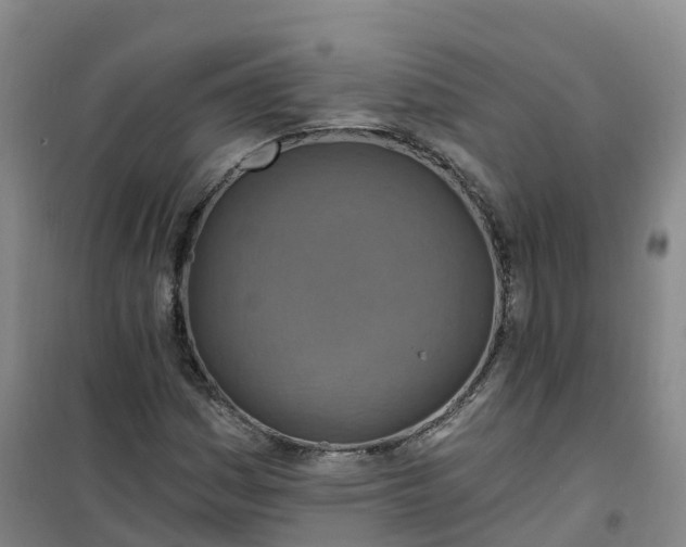 X0000101161161200807111022