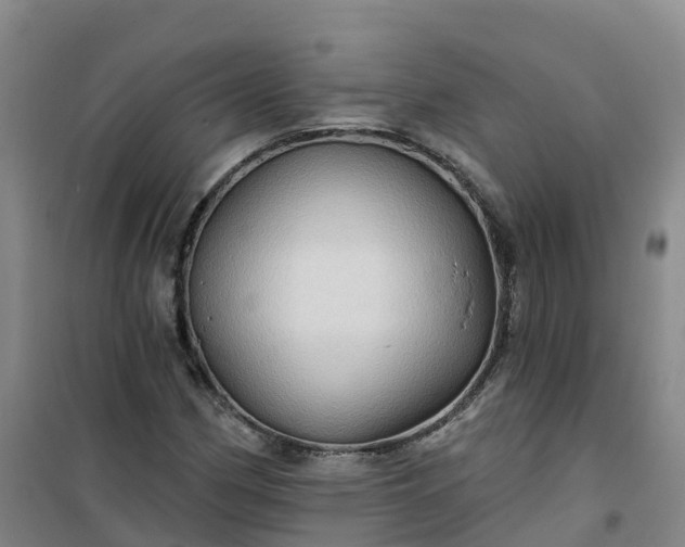 X0000101161162200807111022