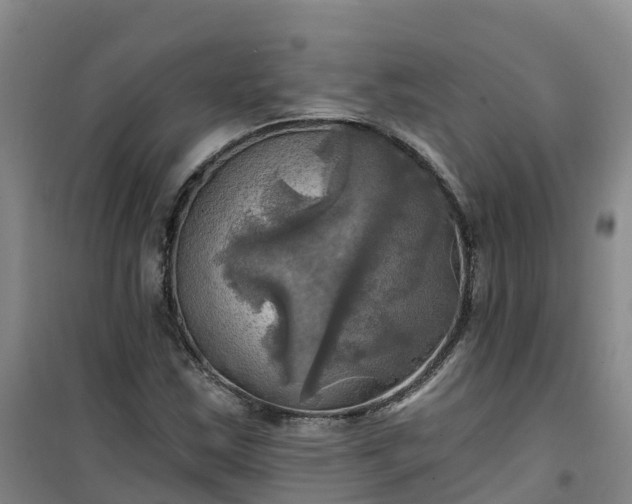 X0000101161163200807111022