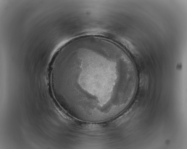 X0000101161164200807111022