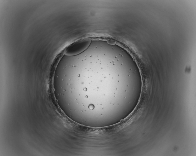 X0000101161165200807111022