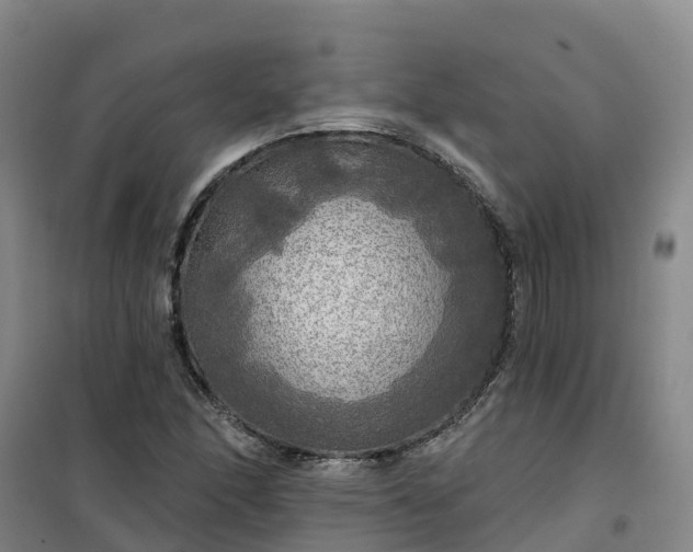 X0000101161166200807111022