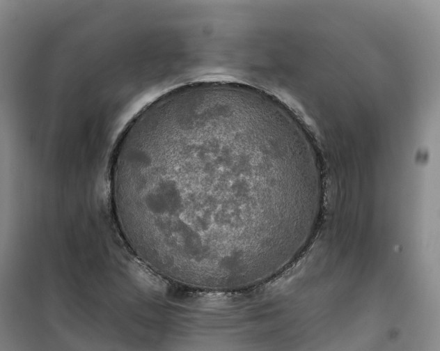 X0000101161167200807111022