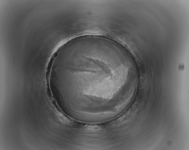 X0000101161168200807111022