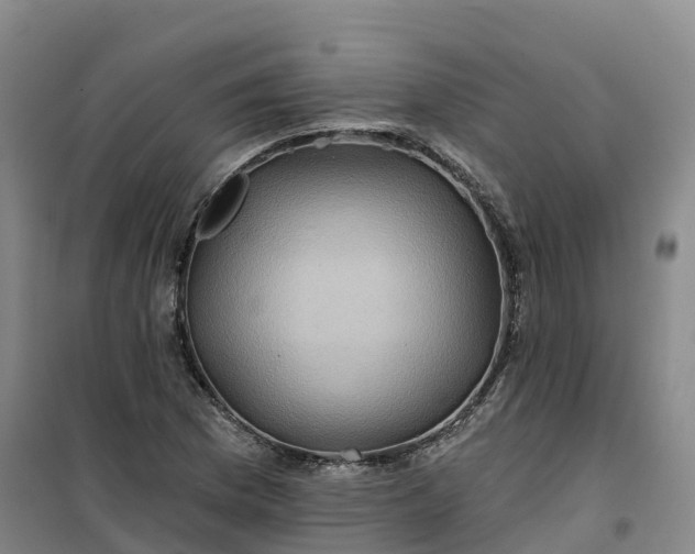 X0000101161169200807111021