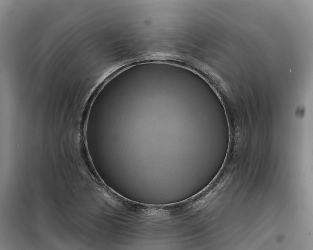 X0000101161170200807111021