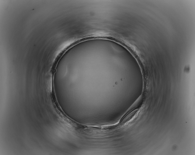 X0000101161171200807111021