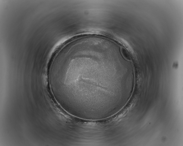 X0000101161172200807111021