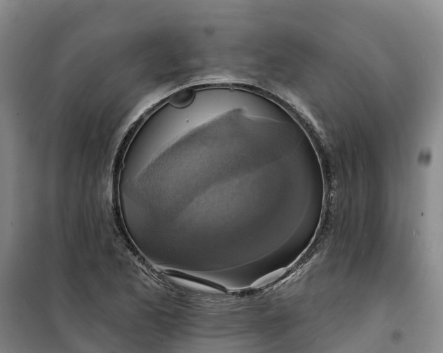 X0000101161173200807111021