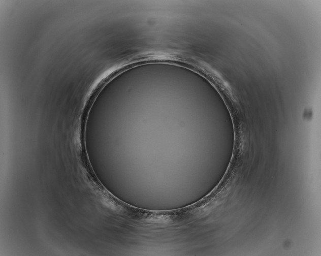 X0000101161174200807111021