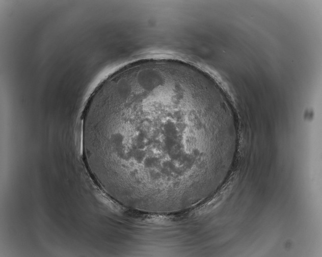 X0000101161175200807111021