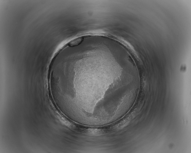 X0000101161176200807111021