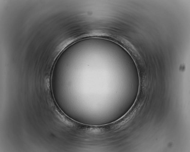 X0000101161177200807111021