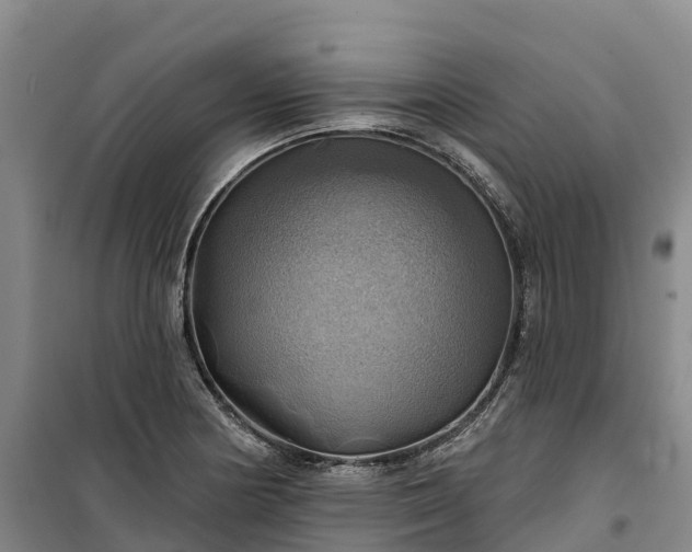 X0000101161178200807111021