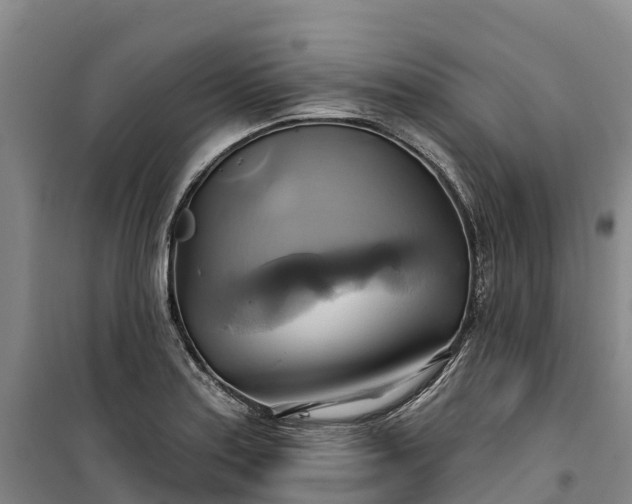 X0000101161179200807111021