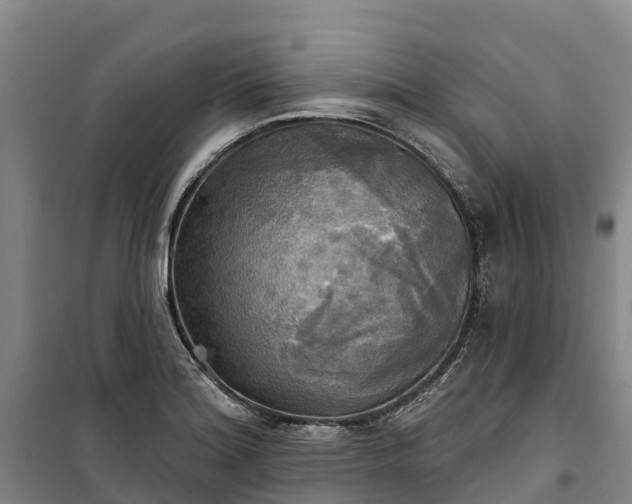 X0000101161180200807111021