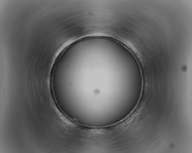 X0000101161181200807111021