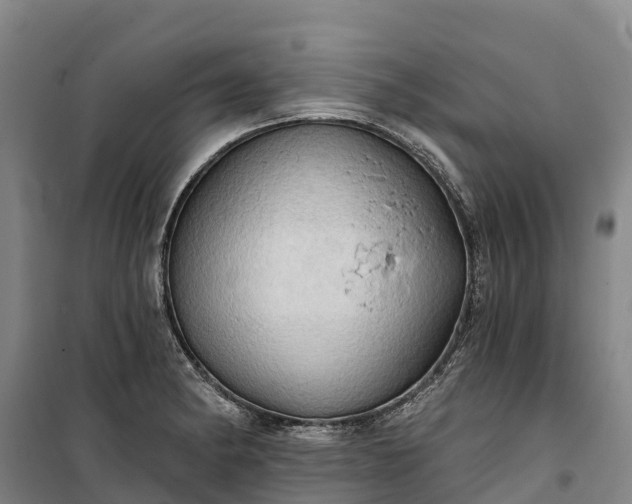 X0000101161182200807111021