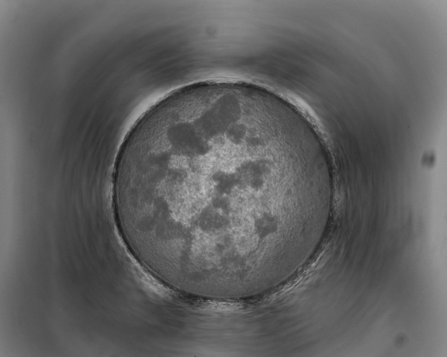 X0000101161183200807111021