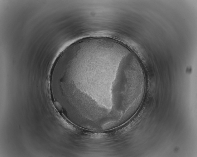 X0000101161184200807111021