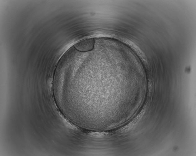 X0000101161185200807111021