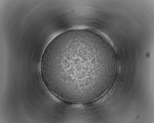 X0000101161186200807111021